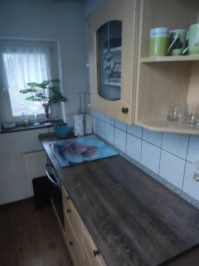 צוויקאו Kleine Gemuetliche Wohnung מראה חיצוני תמונה