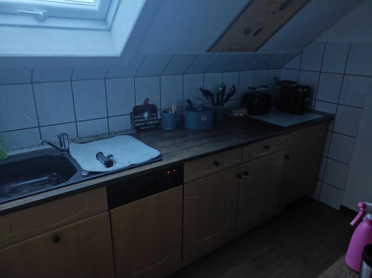 צוויקאו Kleine Gemuetliche Wohnung מראה חיצוני תמונה