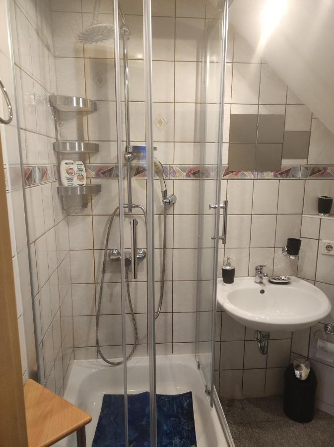 צוויקאו Kleine Gemuetliche Wohnung מראה חיצוני תמונה