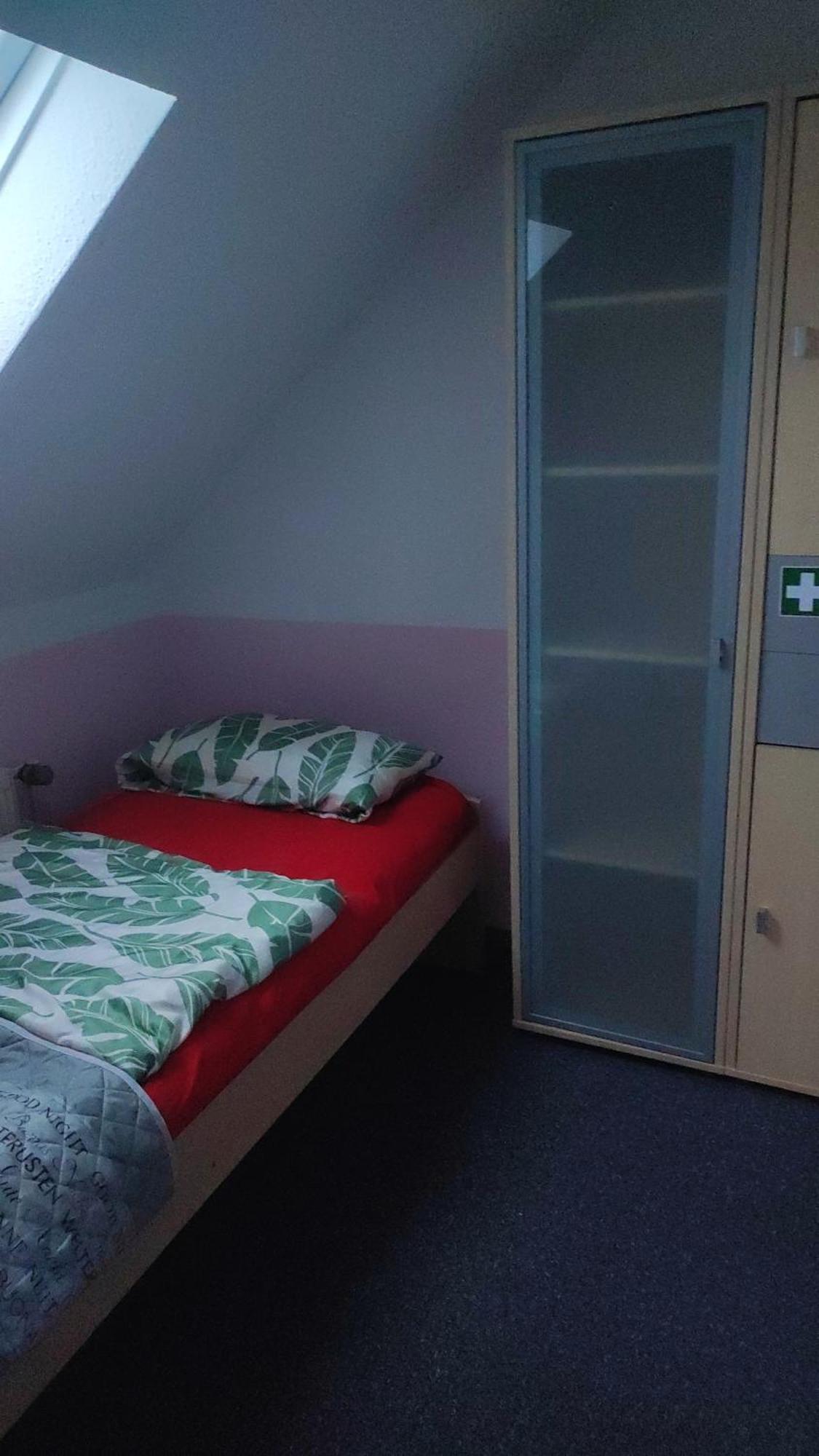 צוויקאו Kleine Gemuetliche Wohnung מראה חיצוני תמונה
